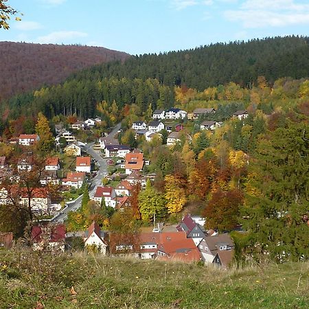 Pension Rheingold Garni Bad Grund Exterior photo