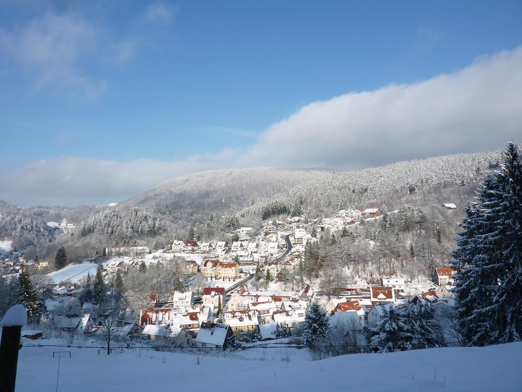 Pension Rheingold Garni Bad Grund Exterior photo