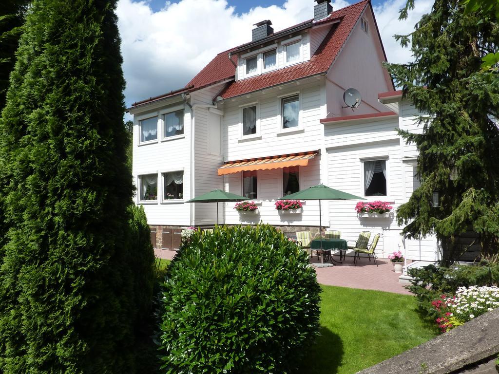 Pension Rheingold Garni Bad Grund Exterior photo