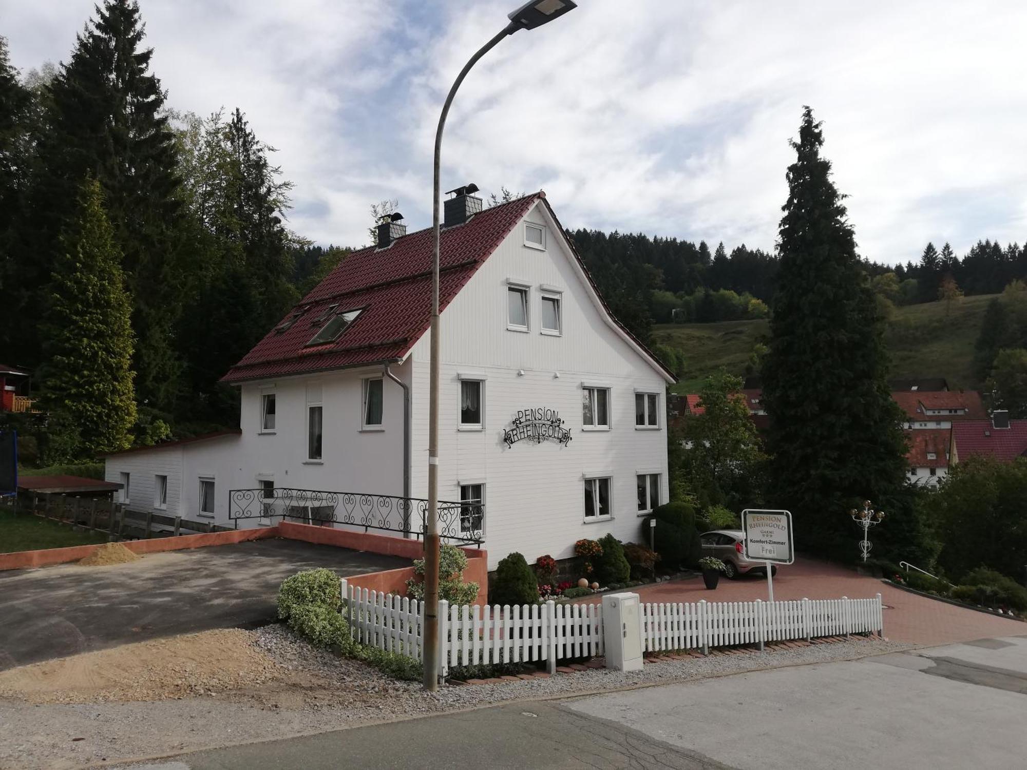 Pension Rheingold Garni Bad Grund Exterior photo