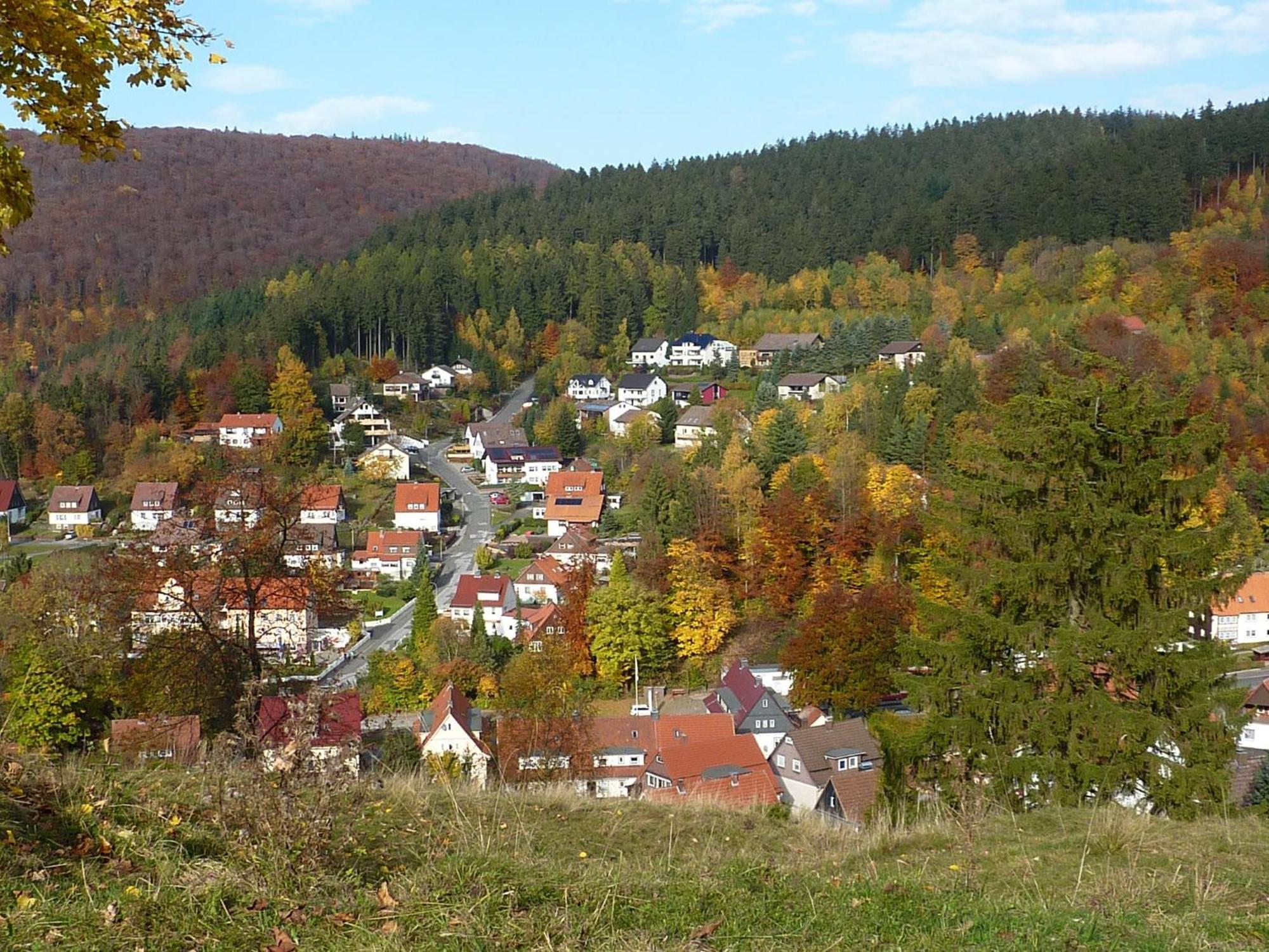 Pension Rheingold Garni Bad Grund Exterior photo