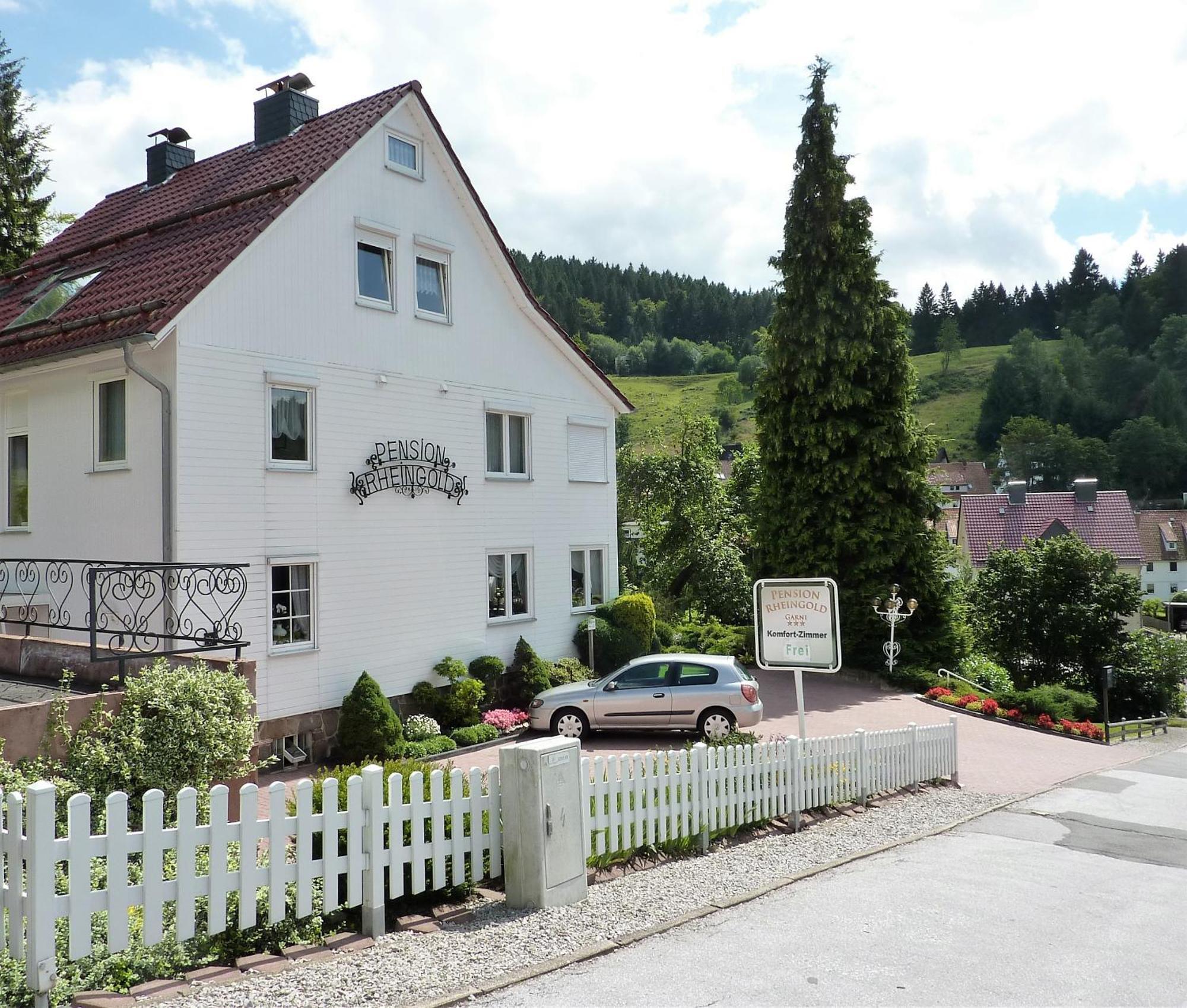 Pension Rheingold Garni Bad Grund Exterior photo