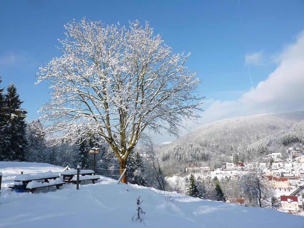 Pension Rheingold Garni Bad Grund Exterior photo