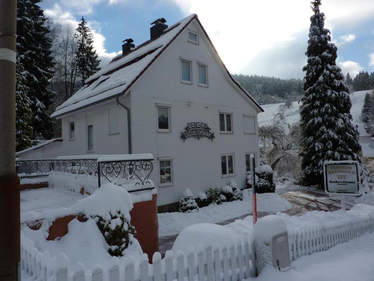 Pension Rheingold Garni Bad Grund Exterior photo